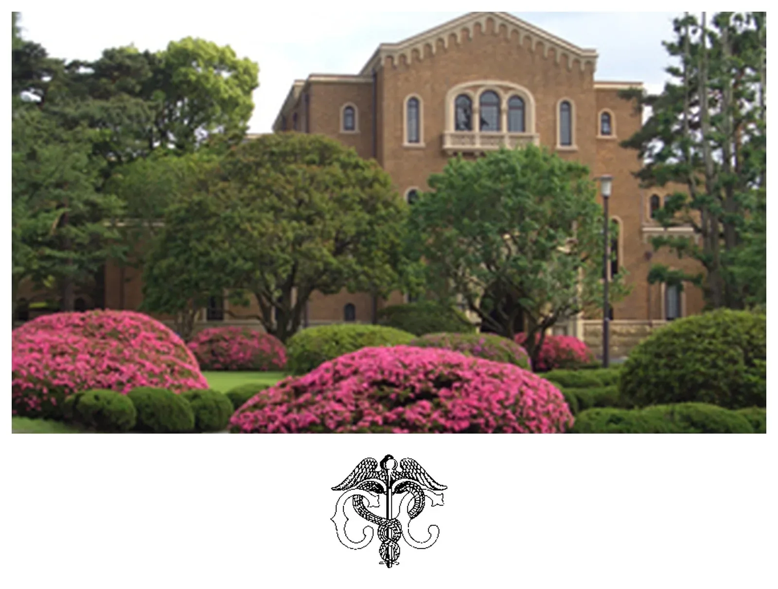 一桥大学