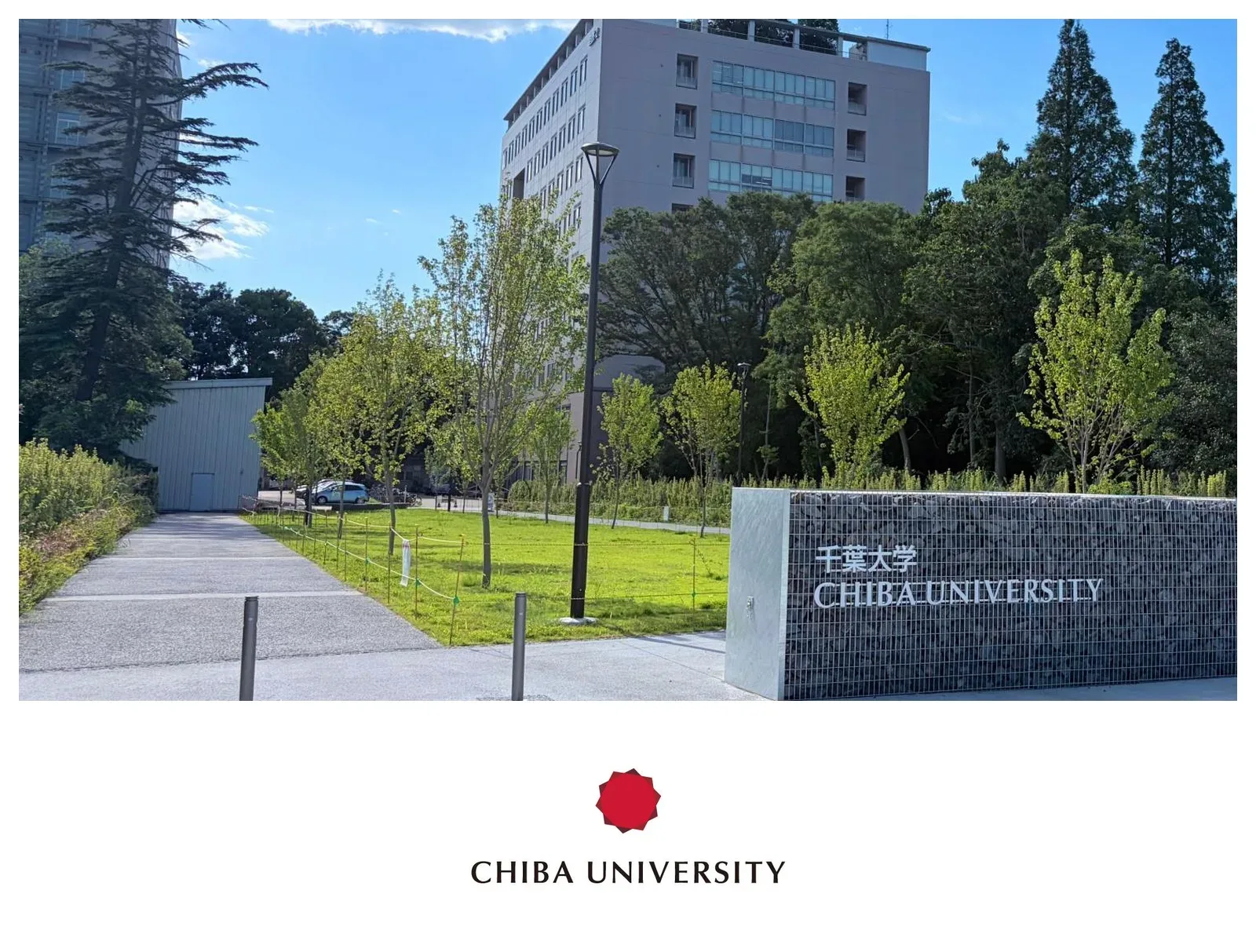 千叶大学