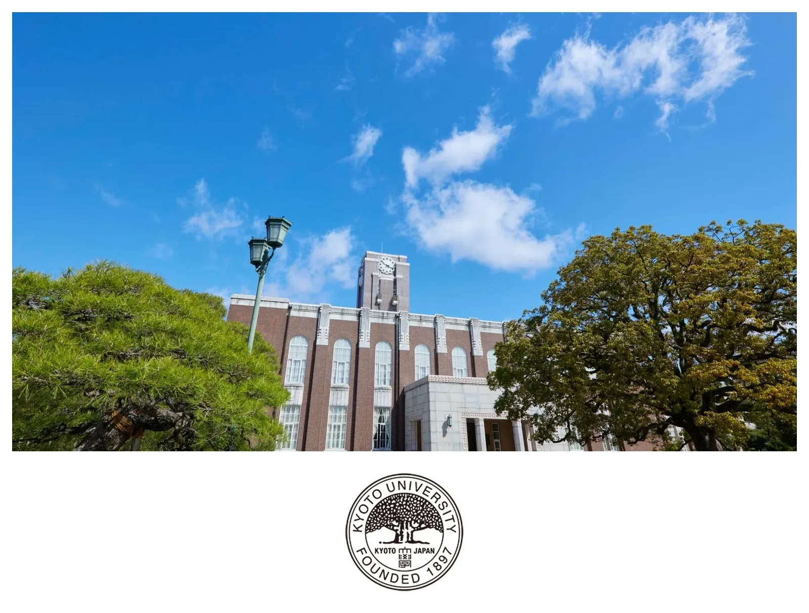 京都大学