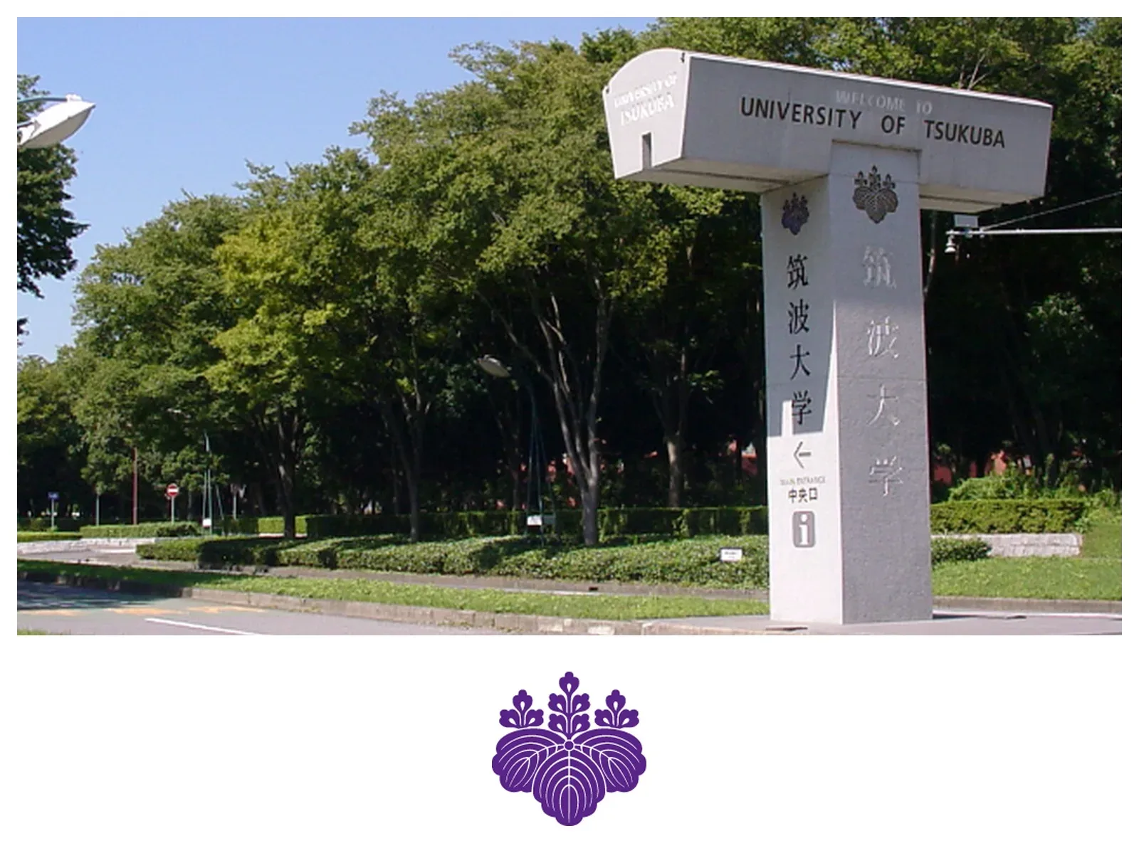 筑波大学
